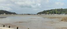 Ebbe bei Matakana, Nordinsel NZ