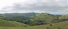 Auf dem Weg nach Cape Otway, Victoria, Australien