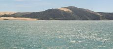 Sanddüne bei Omapere, Hokianga Harbour, Northland NZ